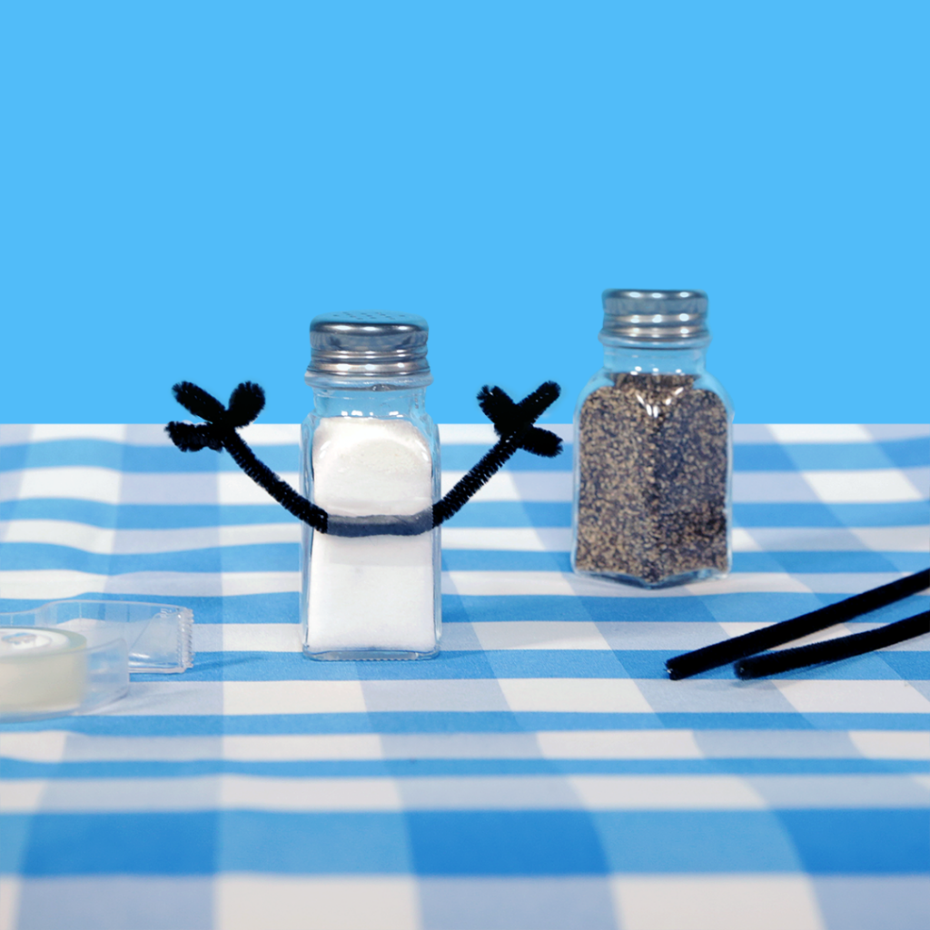 mr salt and mrs pepper shakers｜TikTok Search