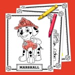 Marshall Activity Pack Nickelodeon Parents